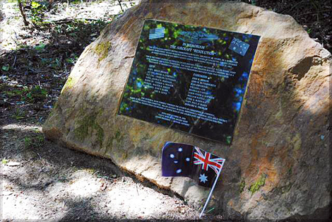 philwatt-2010-06-plaquenauflag